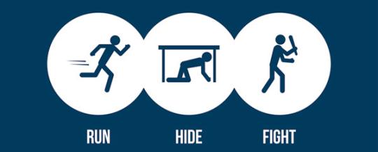 run hide fight descriptive image