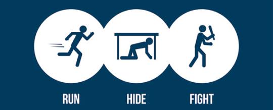 run hide fight descriptive image